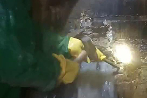 临高消防水池堵漏施工视频